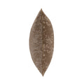 EQ Mica Pillow