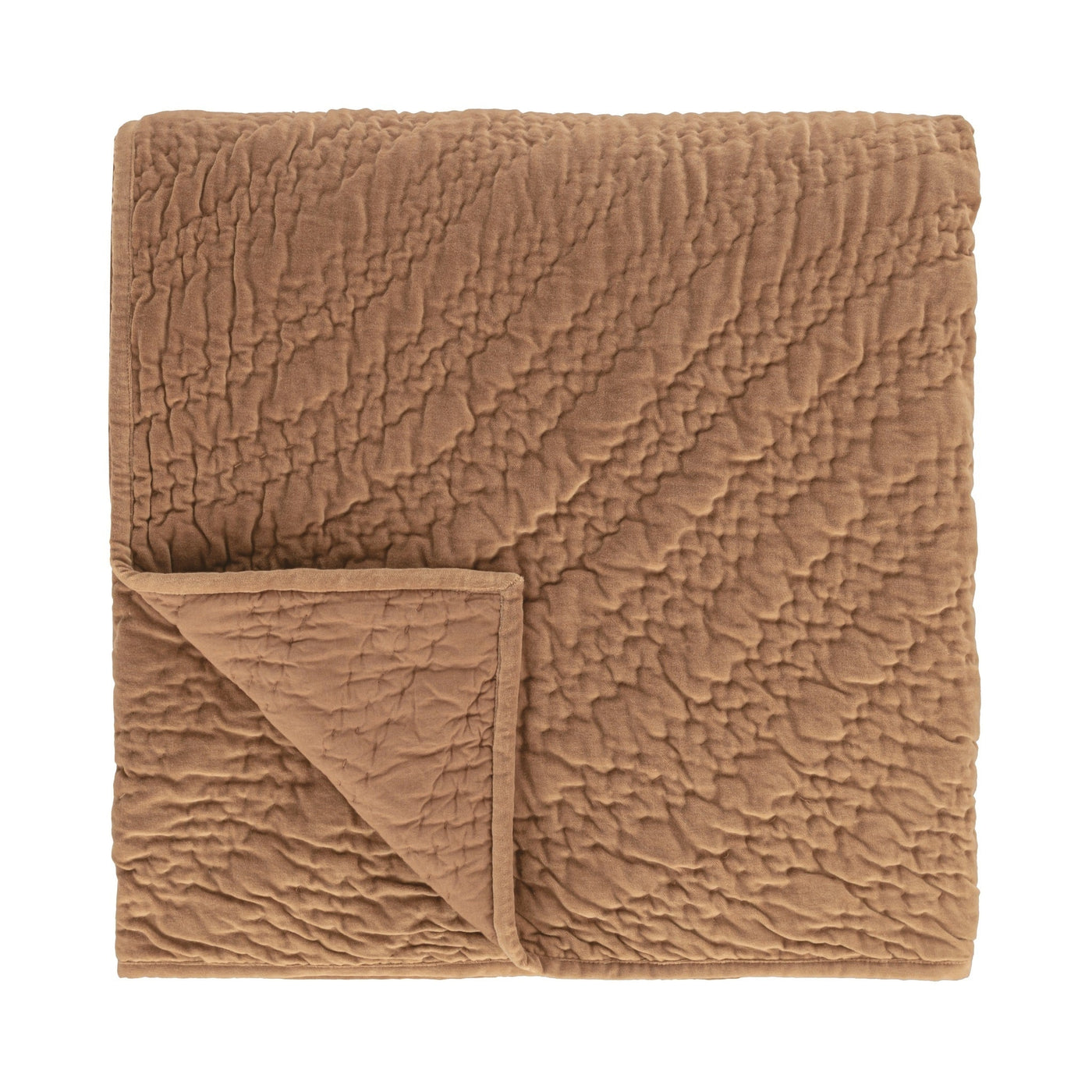 Elms Velvet Quilt Collection