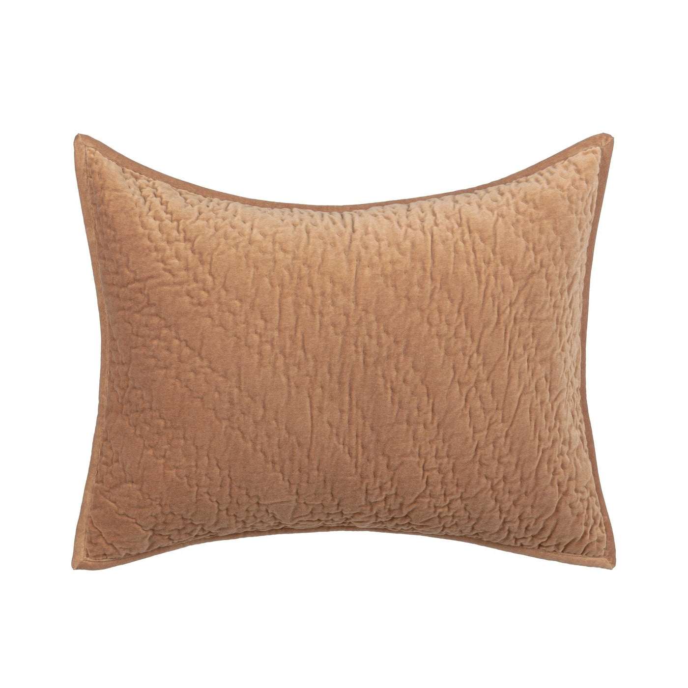 Elms Velvet Quilt Collection