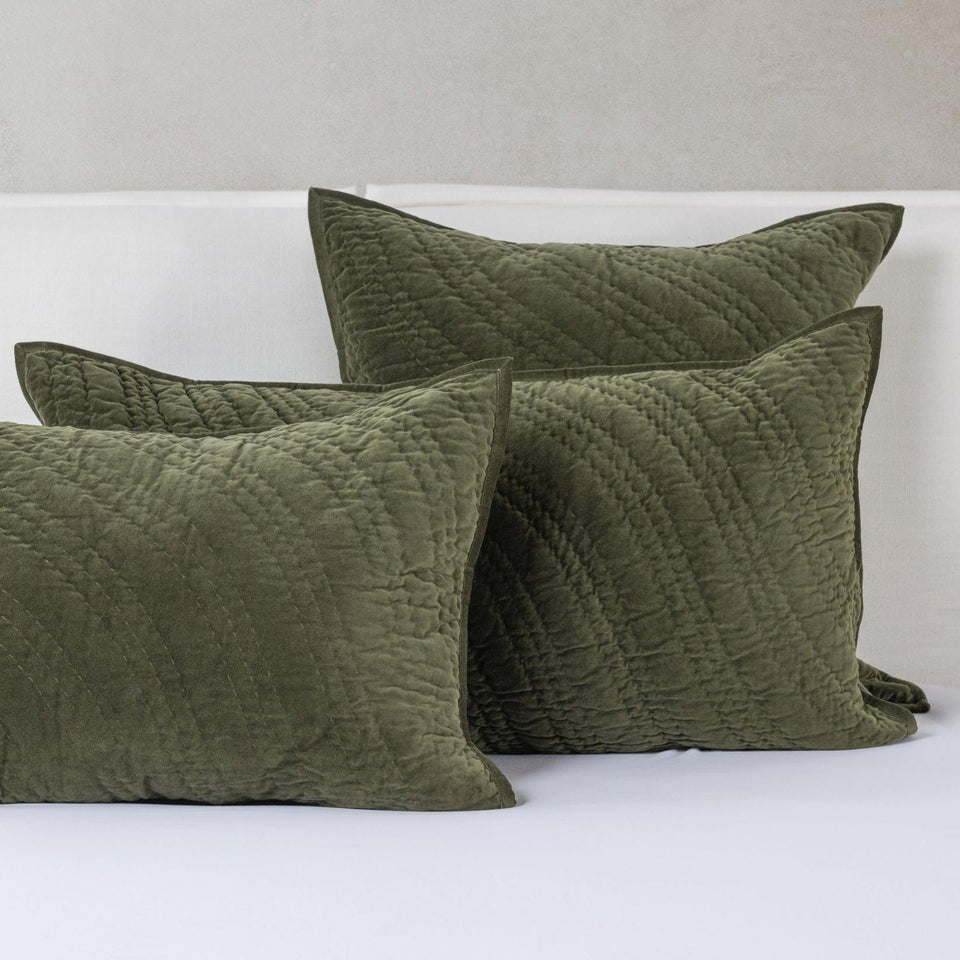 Elms Velvet Quilt Collection