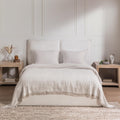BC Avani Collection