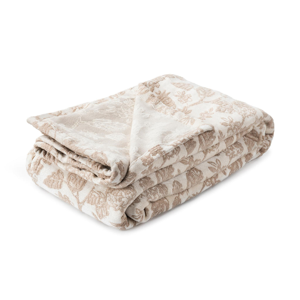 BC Aveline Collection