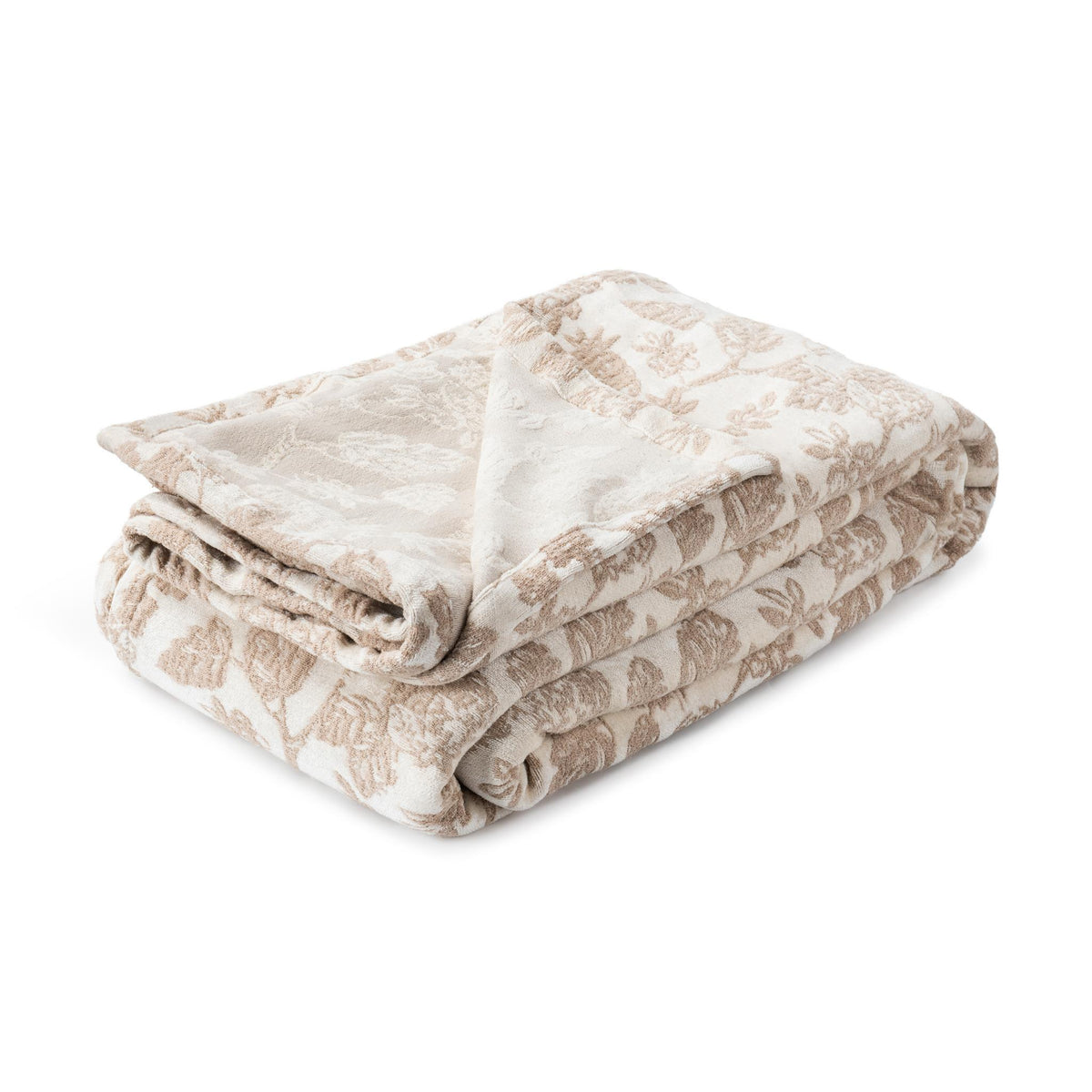 BC Aveline Collection