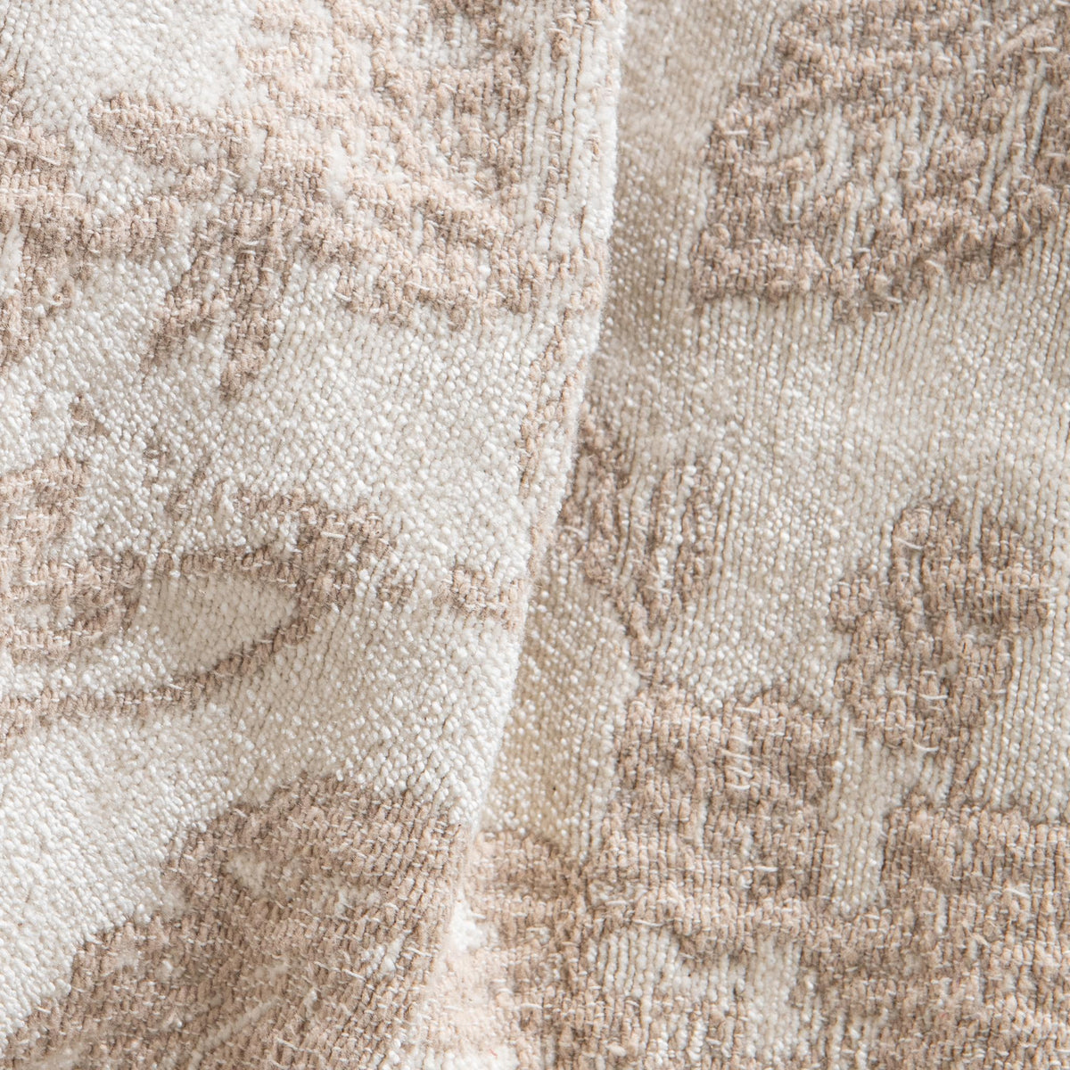 BC Aveline Collection