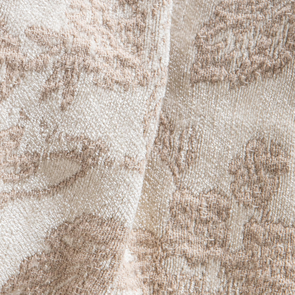BC Aveline Collection